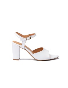 Salon Fiesta Piel 1487 2