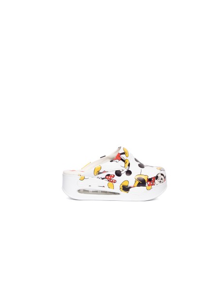 Zueco sanitario  RONGEUR